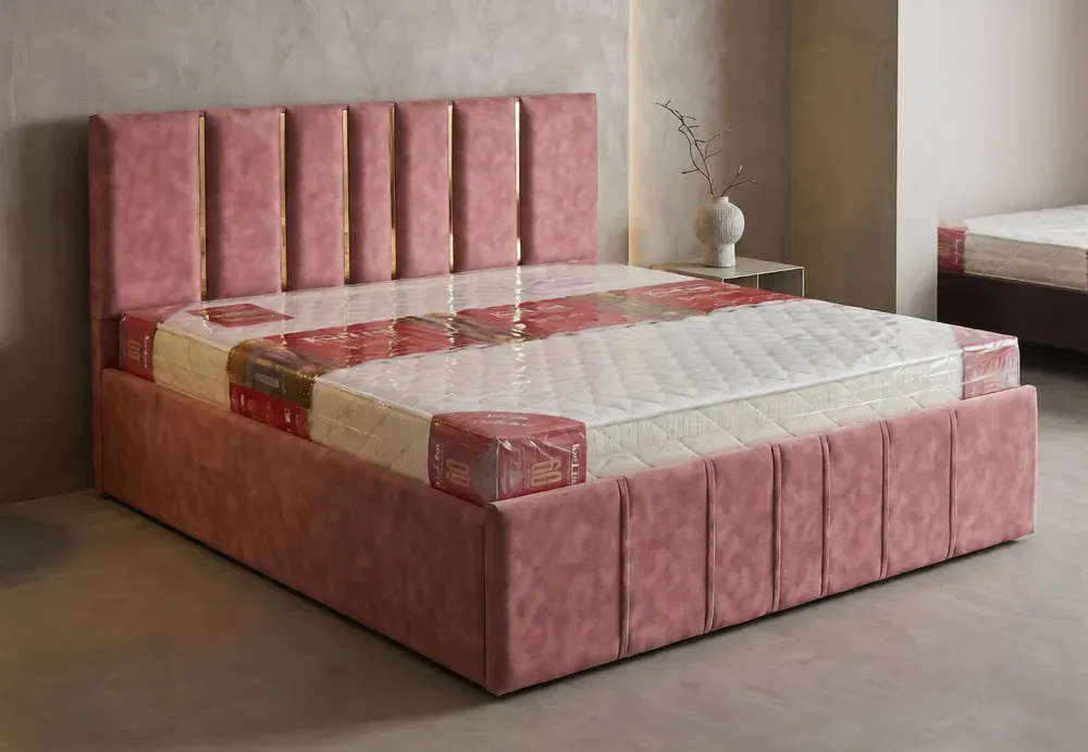 Designer Cushioned Double bed